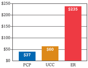 Cost of care chart